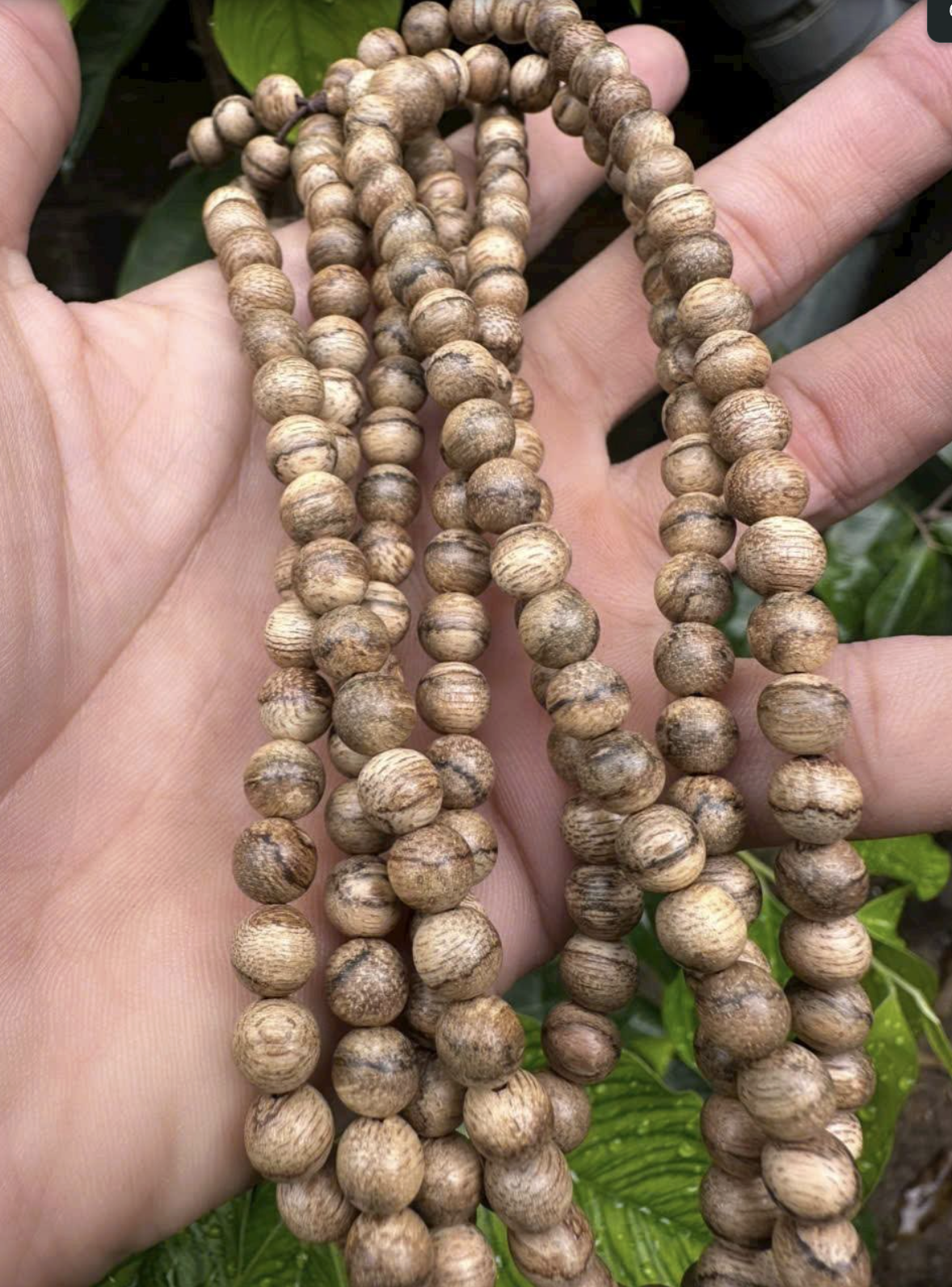 tram-huong-cao-cap-tu-nhien-thien-cat