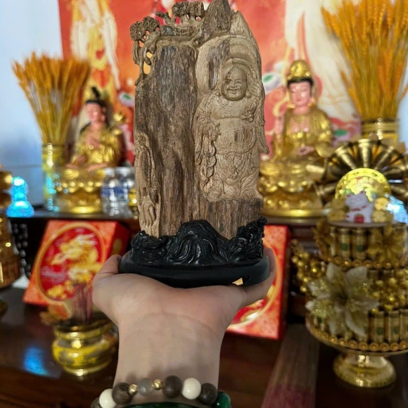 Tượng Việt- gia lai- thơm cay