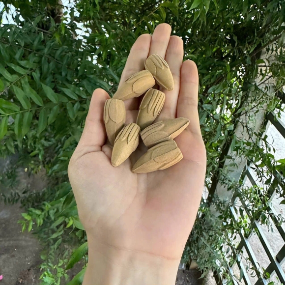 Nụ Trần Hương Bao sạch 