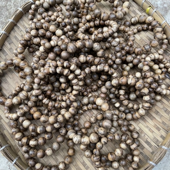 Vòng trầm hương rừng 14mm. 16mm